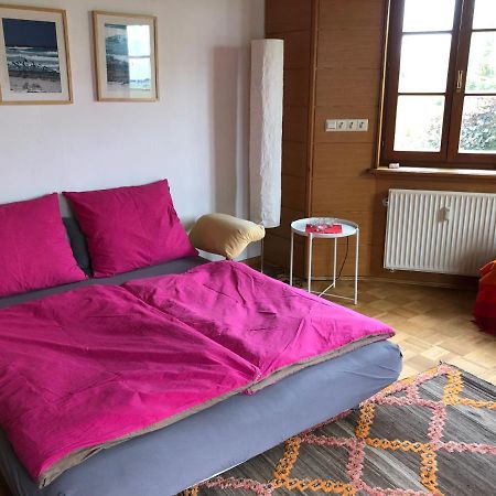 Ferienwohnung Am Donauradwanderweg Riedlingen Eksteriør billede