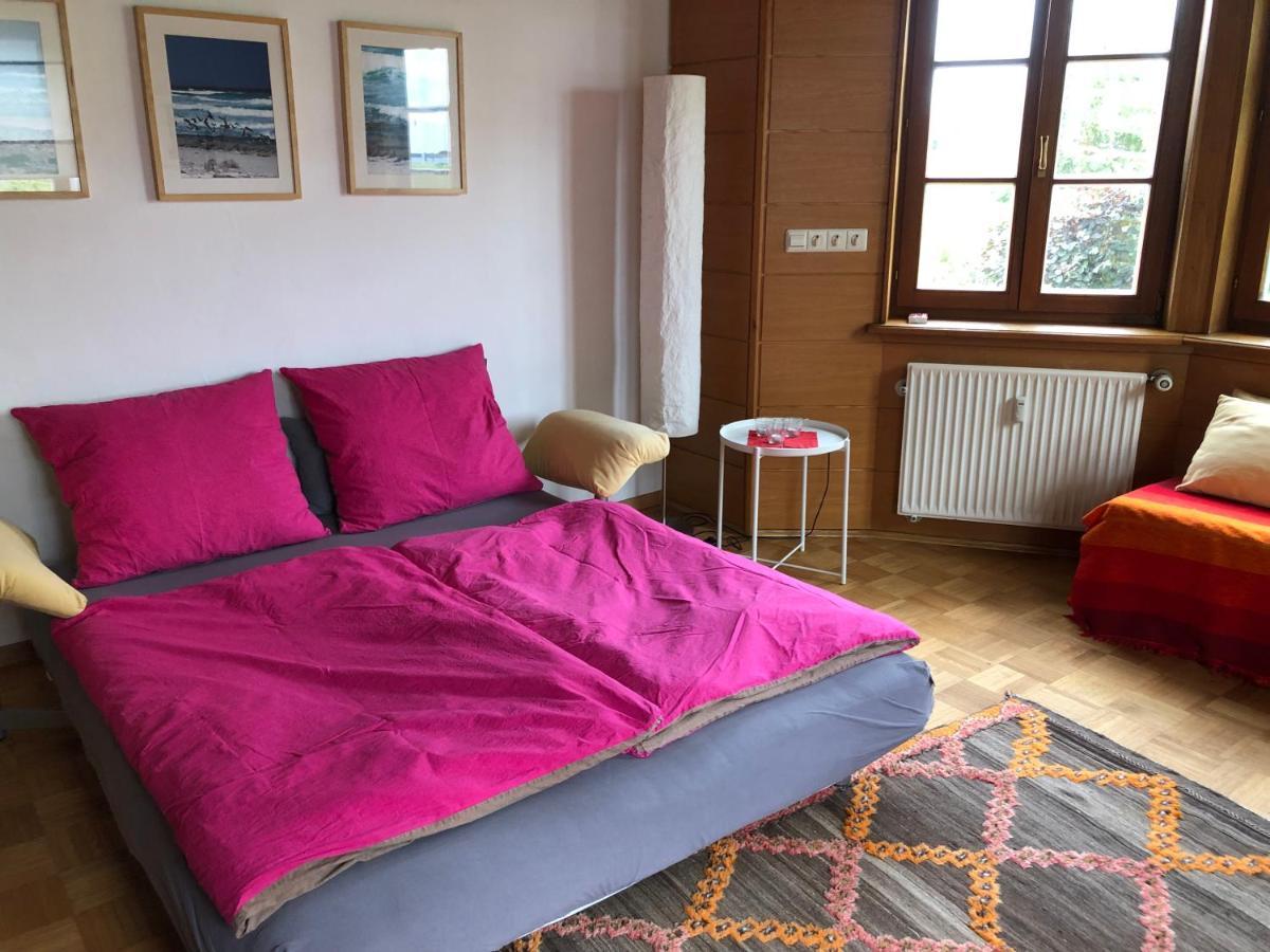 Ferienwohnung Am Donauradwanderweg Riedlingen Eksteriør billede